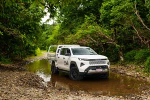 Dual Cab Ute Trays